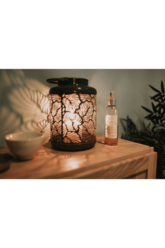 ESCAPADE BIEN ETRE Evjf Bassin Arcachon IMG 3